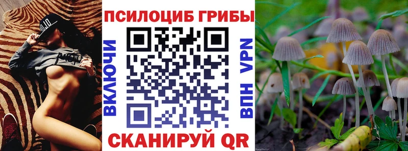 Галлюциногенные грибы Cubensis Липки